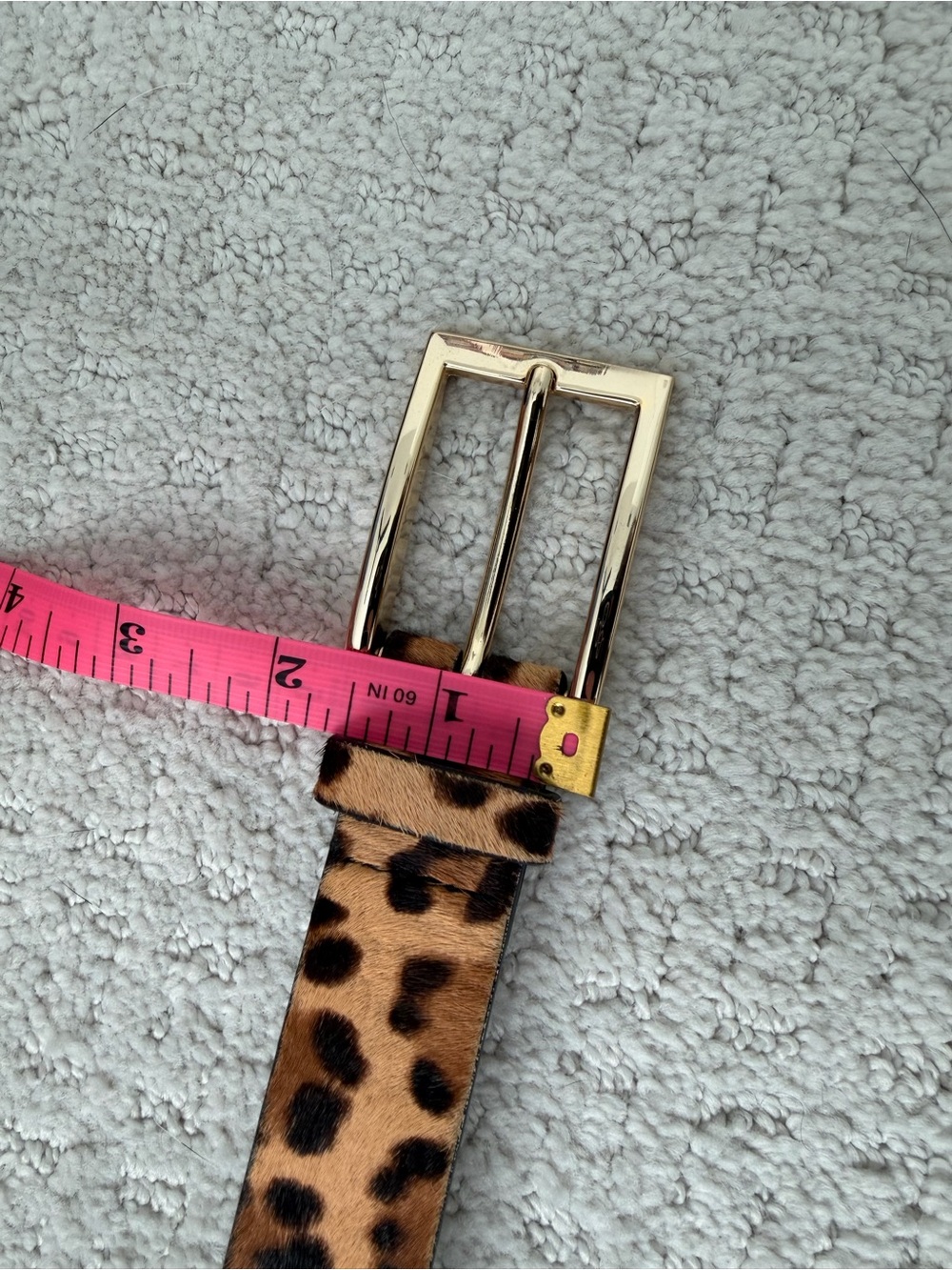 Express Leopard Haircalf Belt with Gold Buckle - Picture 9 of 12